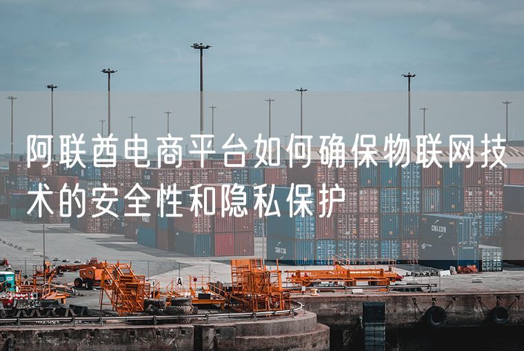 阿联酋电商平台如何确保物联网技术的安全性和隐私保护