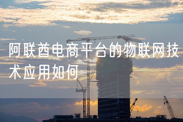 阿联酋电商平台的物联网技术应用如何