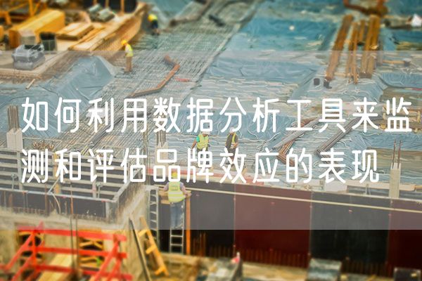 如何利用数据分析工具来监测和评估品牌效应的表现