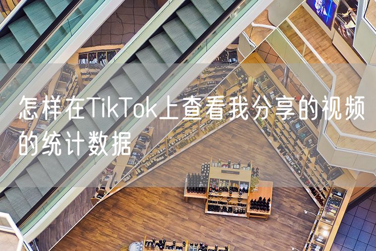 怎样在TikTok上查看我分享的视频的统计数据