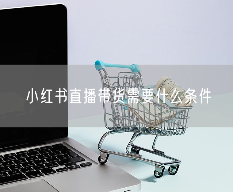 小红书直播带货需要什么条件