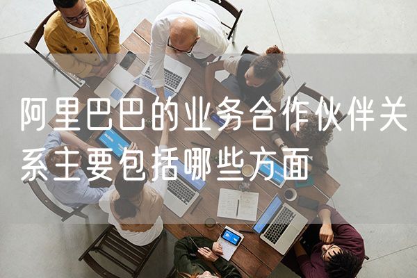 阿里巴巴的业务合作伙伴关系主要包括哪些方面