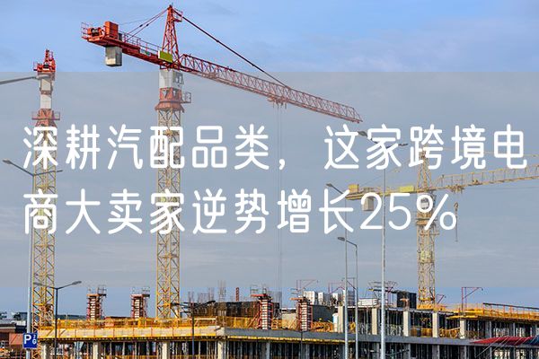 深耕汽配品类，这家跨境电商大卖家逆势增长25%