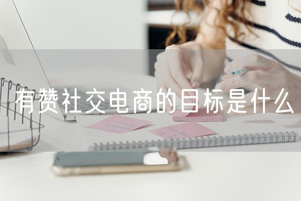 有赞社交电商的目标是什么