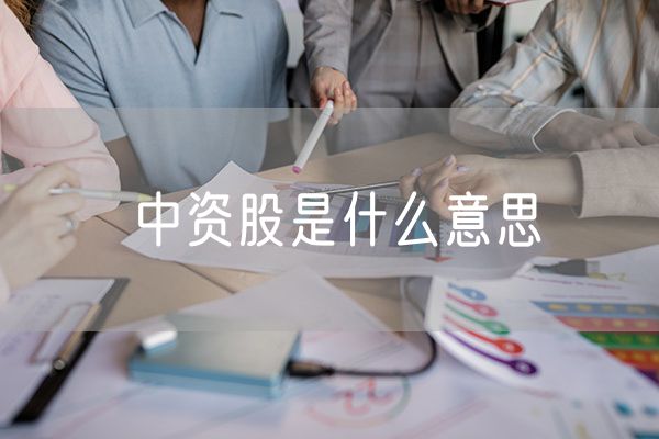 中资股是什么意思