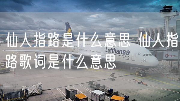 仙人指路是什么意思 仙人指路歌词是什么意思