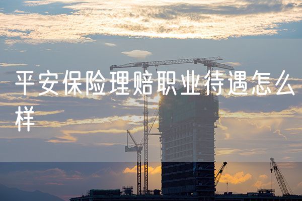 平安保险理赔职业待遇怎么样