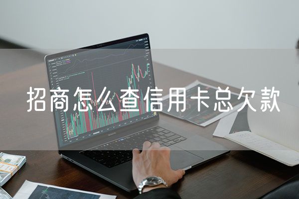 招商怎么查信用卡总欠款