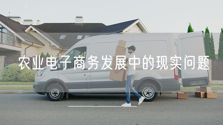 农业电子商务发展中的现实问题