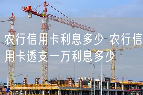农行信用卡利息多少 农行信用卡透支一万利息多少