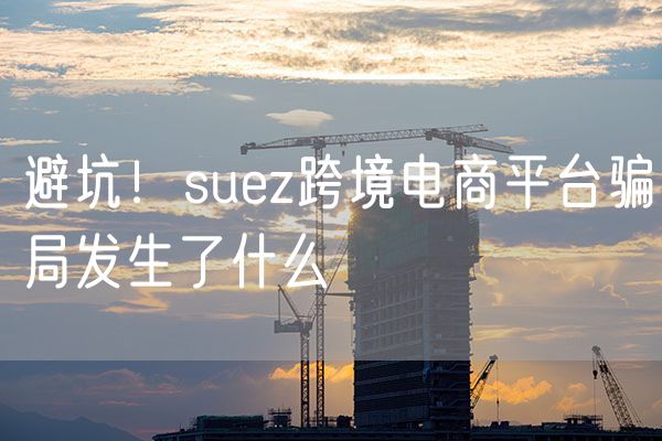避坑！suez跨境电商平台骗局发生了什么