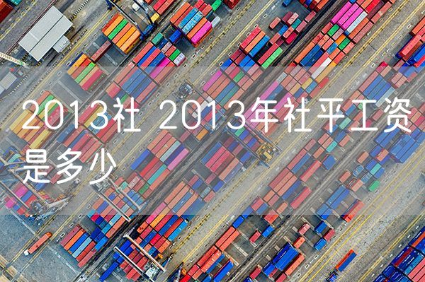 2013社 2013年社平工资是多少