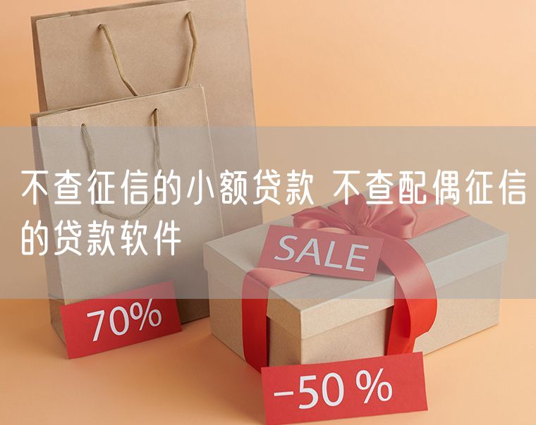 不查征信的小额贷款 不查配偶征信的贷款软件