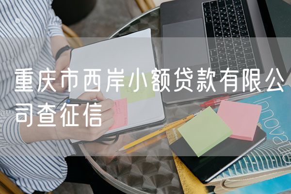 重庆市西岸小额贷款有限公司查征信