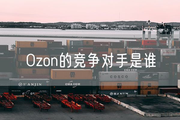 Ozon的竞争对手是谁