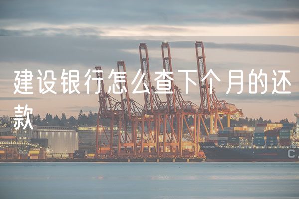 建设银行怎么查下个月的还款