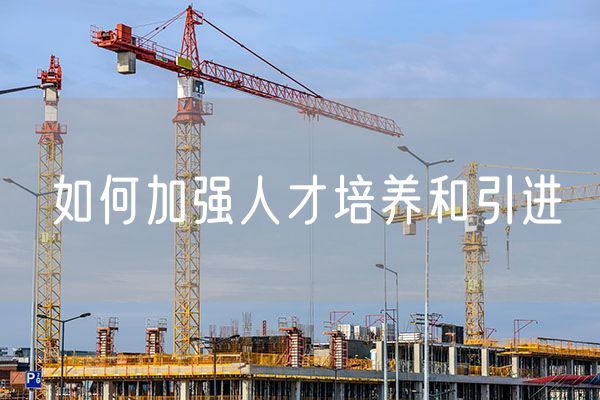 如何加强人才培养和引进