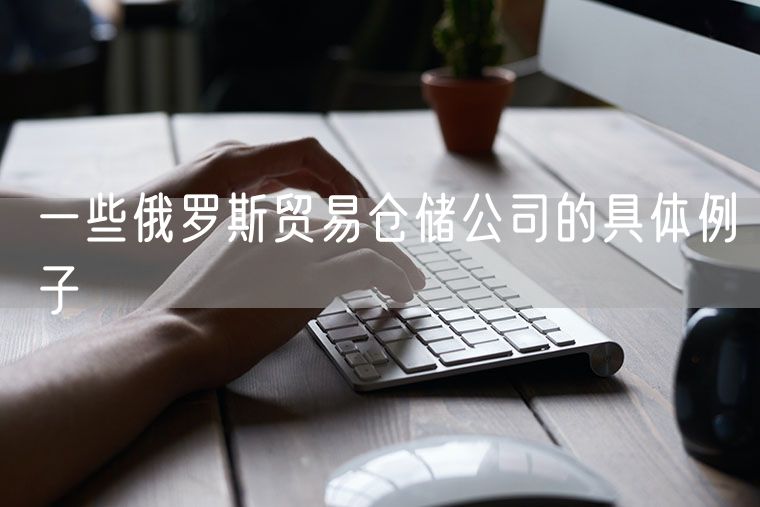 一些俄罗斯贸易仓储公司的具体例子