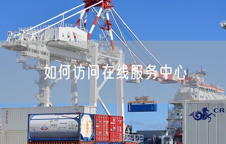 如何访问在线服务中心