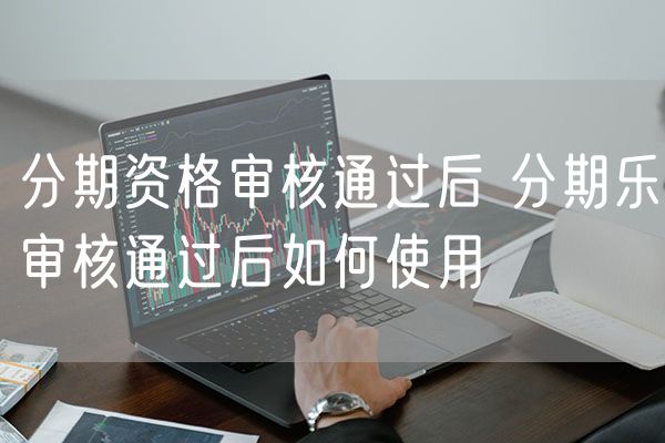 分期资格审核通过后 分期乐审核通过后如何使用