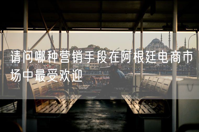 请问哪种营销手段在阿根廷电商市场中最受欢迎