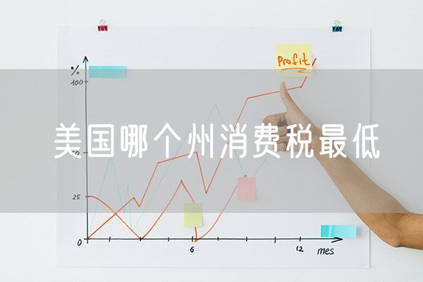 美国哪个州消费税最低