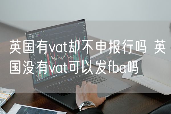 英国有vat却不申报行吗 英国没有vat可以发fba吗