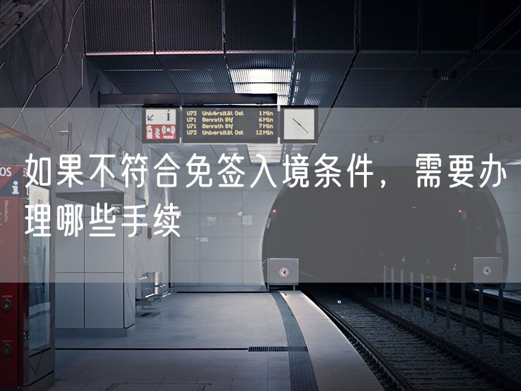 如果不符合免签入境条件，需要办理哪些手续