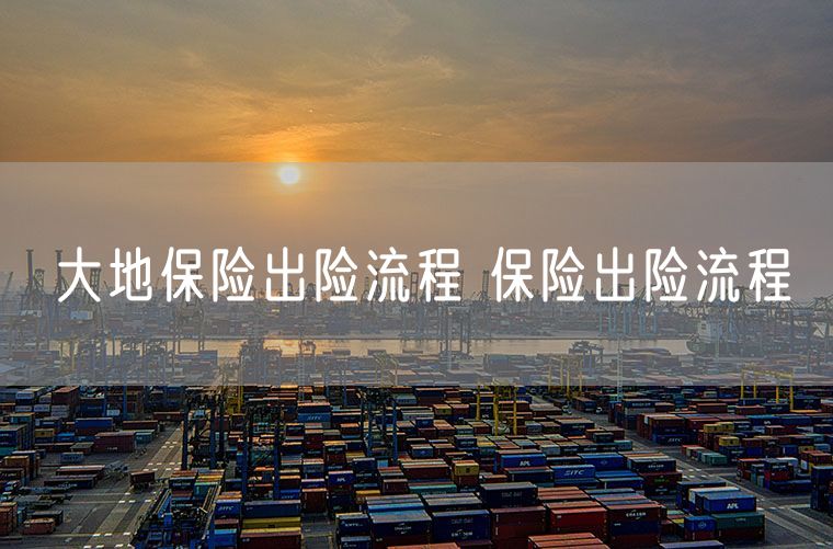 大地保险出险流程 保险出险流程