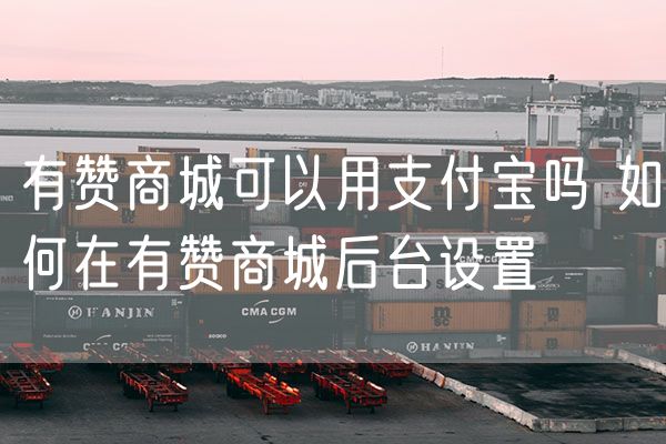 有赞商城可以用支付宝吗 如何在有赞商城后台设置
