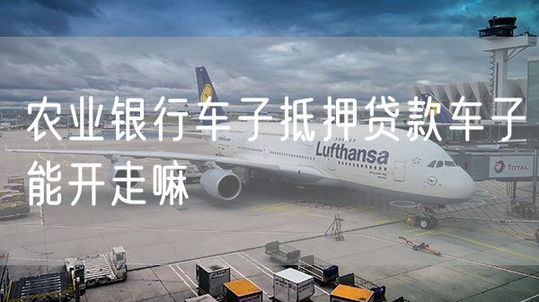 农业银行车子抵押贷款车子能开走嘛