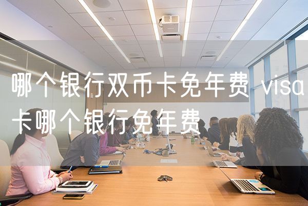 哪个银行双币卡免年费 visa卡哪个银行免年费