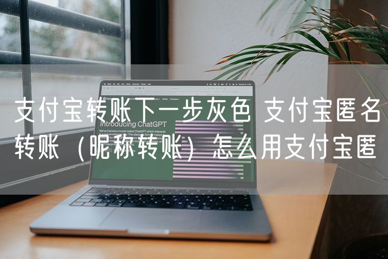支付宝转账下一步灰色 支付宝匿名转账（昵称转账）怎么用支付宝匿