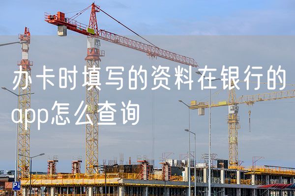 办卡时填写的资料在银行的app怎么查询
