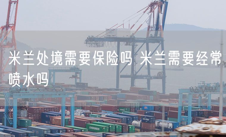 米兰处境需要保险吗 米兰需要经常喷水吗