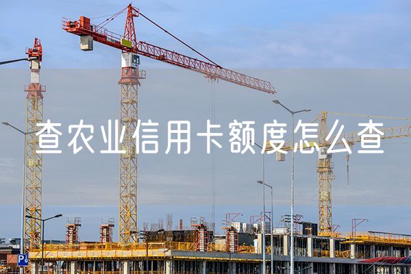 查农业信用卡额度怎么查