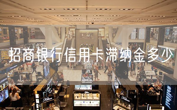 招商银行信用卡滞纳金多少