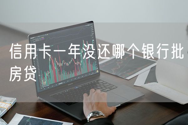 信用卡一年没还哪个银行批房贷