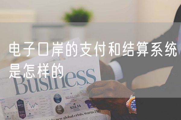 电子口岸的支付和结算系统是怎样的