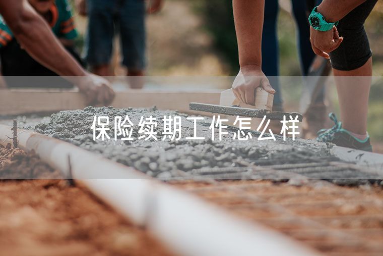 保险续期工作怎么样