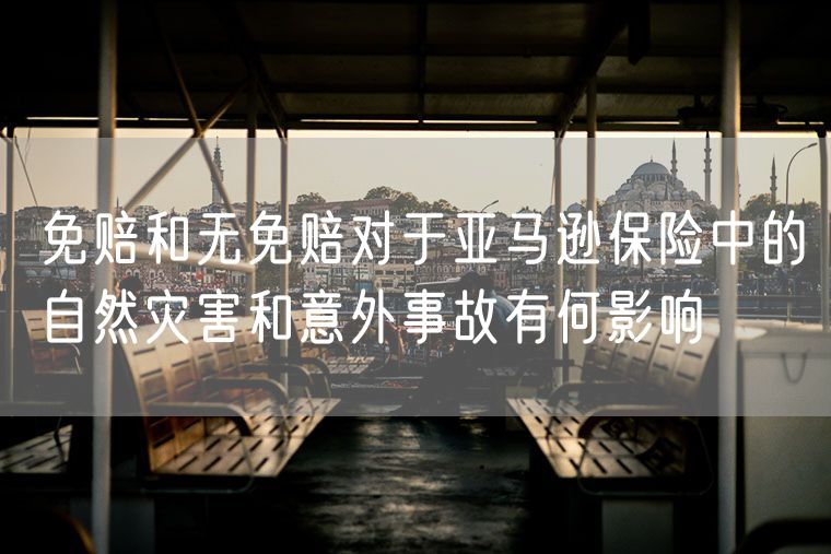 免赔和无免赔对于亚马逊保险中的自然灾害和意外事故有何影响