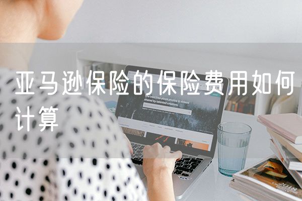 亚马逊保险的保险费用如何计算