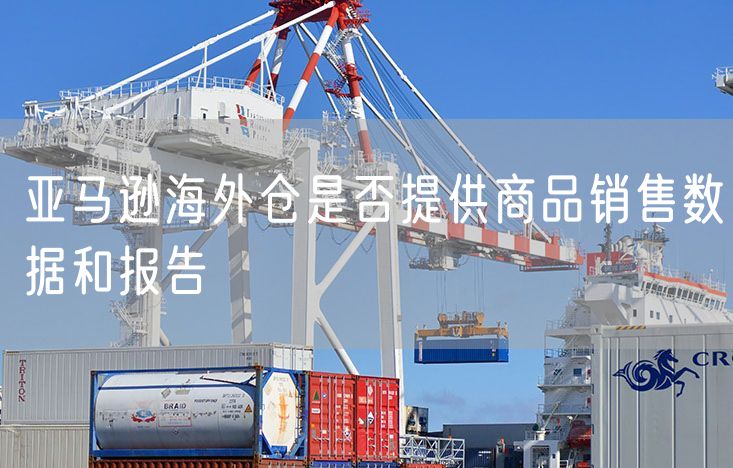 亚马逊海外仓是否提供商品销售数据和报告