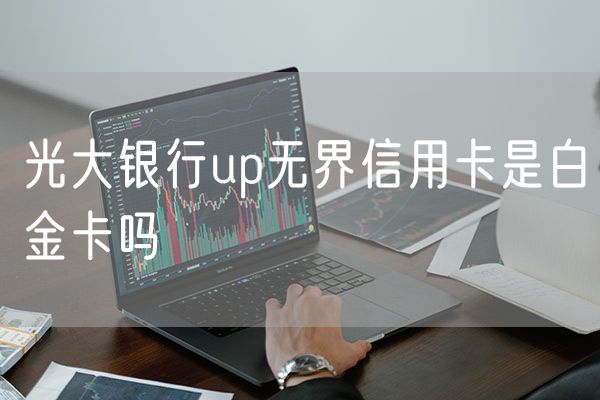 光大银行up无界信用卡是白金卡吗