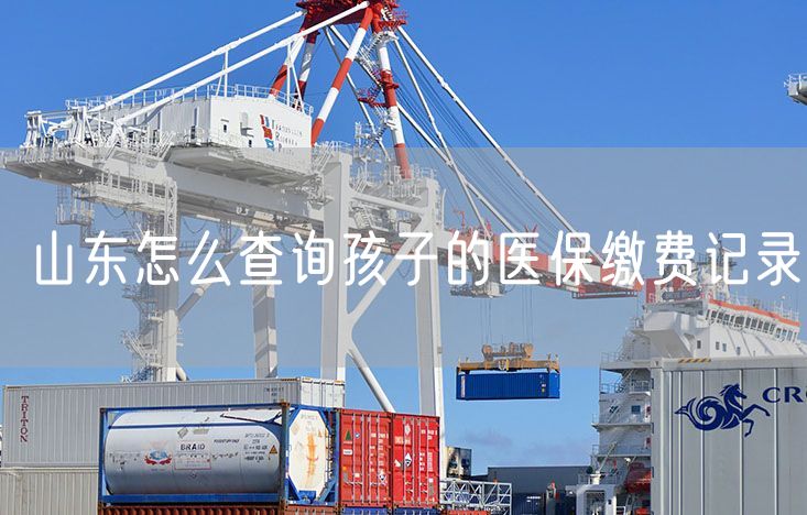 山东怎么查询孩子的医保缴费记录