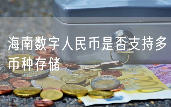 海南数字人民币是否支持多币种存储