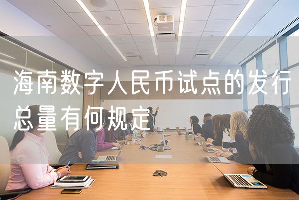 海南数字人民币试点的发行总量有何规定