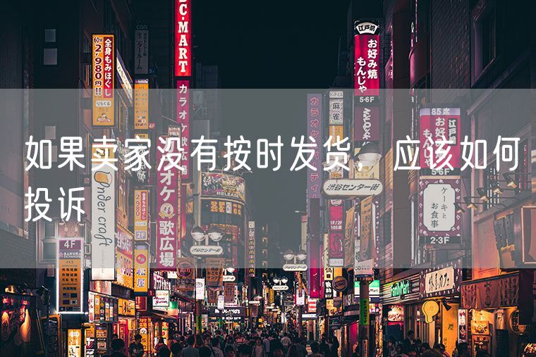 如果卖家没有按时发货，应该如何投诉