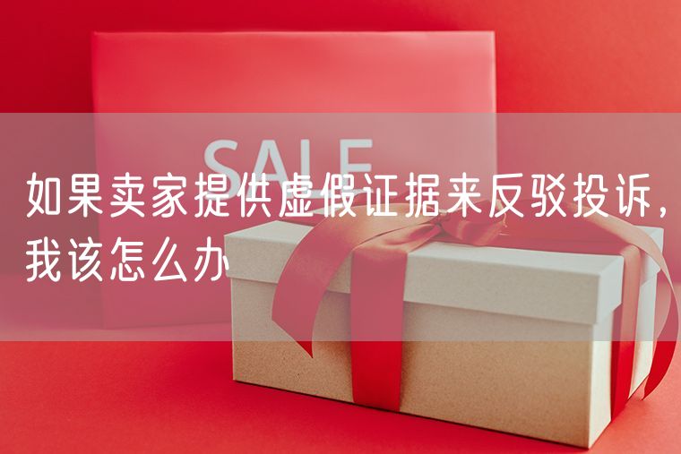 如果卖家提供虚假证据来反驳投诉，我该怎么办