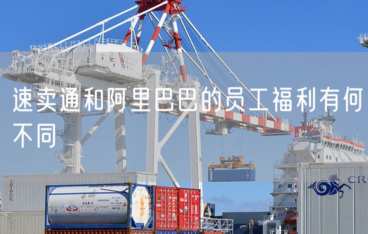 速卖通和阿里巴巴的员工福利有何不同